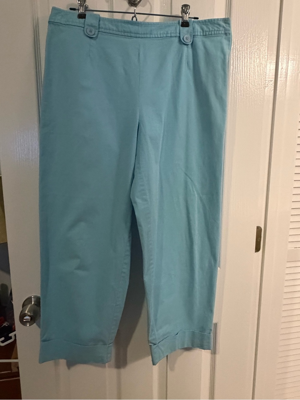 Talbots Capri Pants